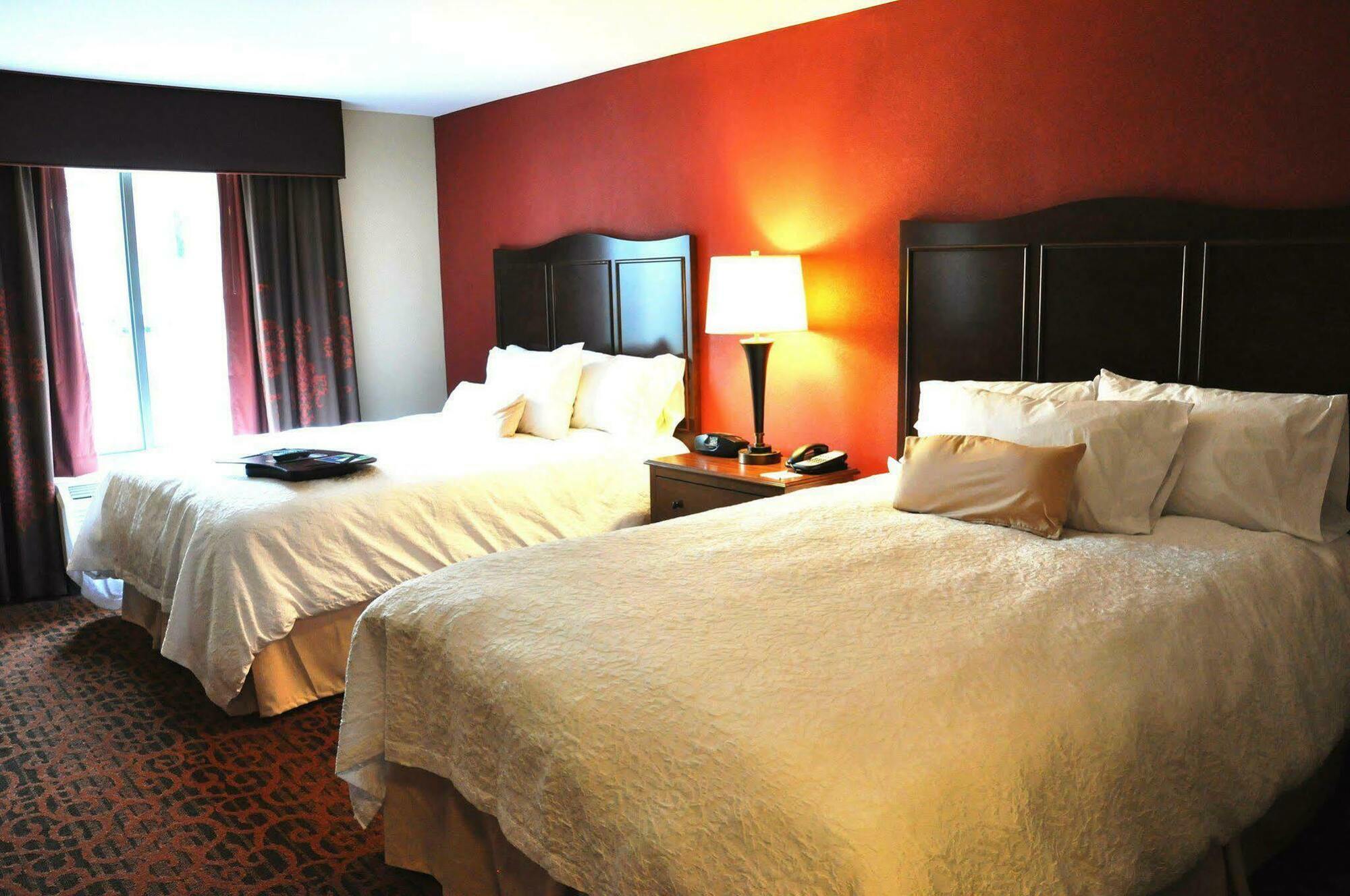 Hampton Inn & Suites Cincinnati / Uptown - University Area Room photo